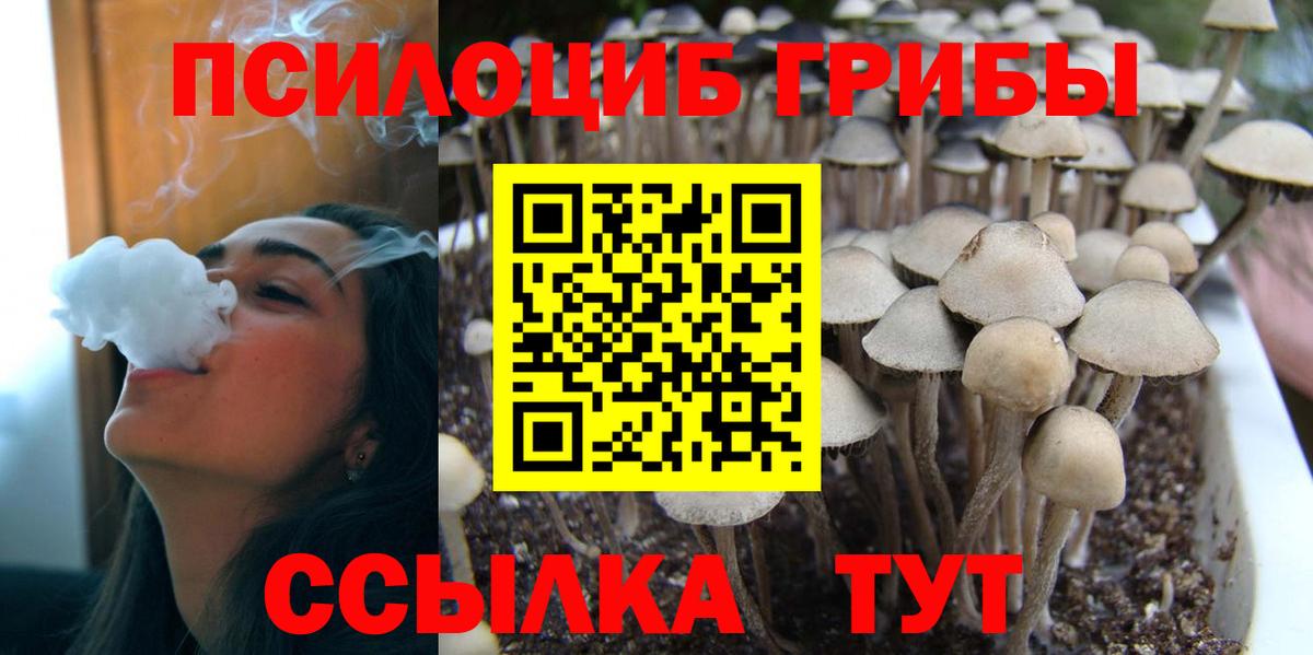 Сатка  Галлюциногенные грибы GOLDEN TEACHER  Вход с VPN 