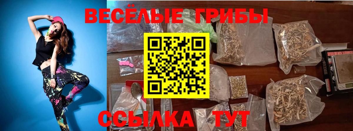 Лсд 25  Мефедрон  ГАШИШ  Сатка  Каннабис  Альфа ПВП СК кристаллы  Вход с VPN  Гашиш  Меф МЯУ МЯУ кристаллы 
